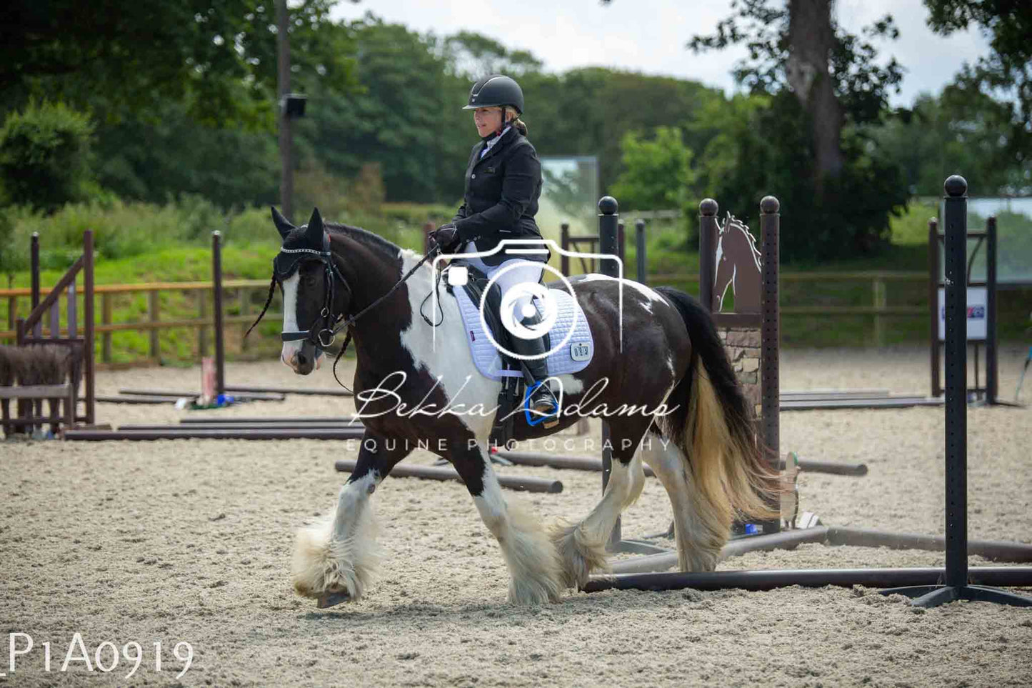 Home Farm Jumping 11th June - Seniors