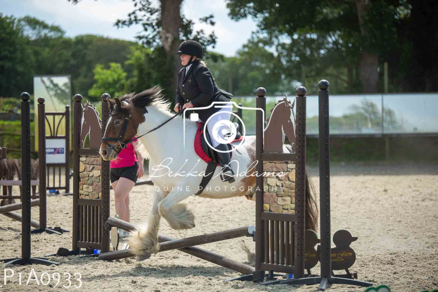 Home Farm Jumping 11th June - Seniors