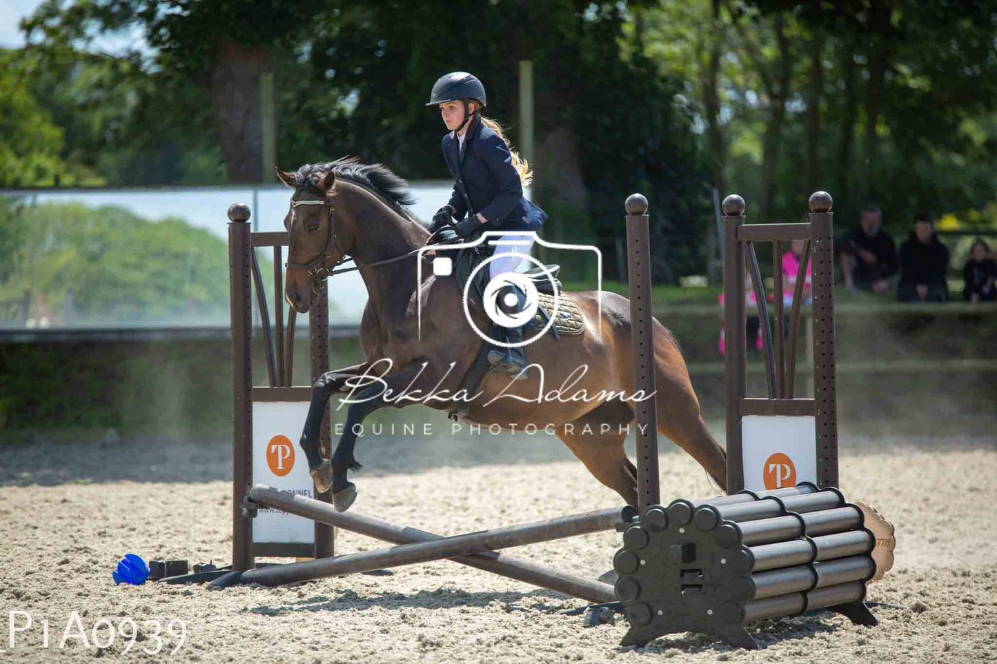 Home Farm Jumping 11th June - Seniors