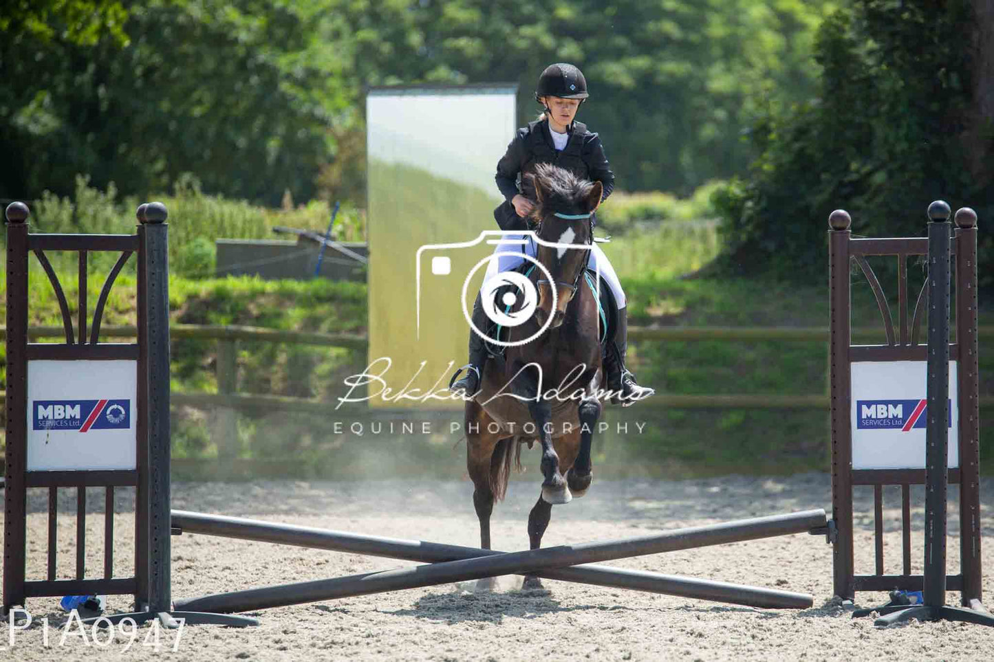 Home Farm Jumping 11th June - Seniors