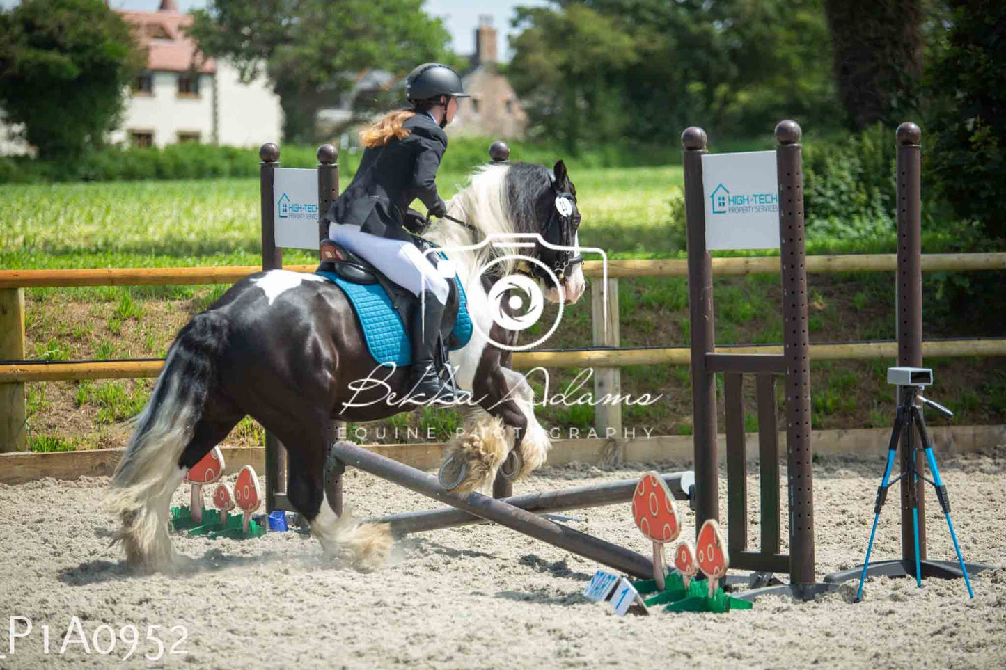 Home Farm Jumping 11th June - Seniors