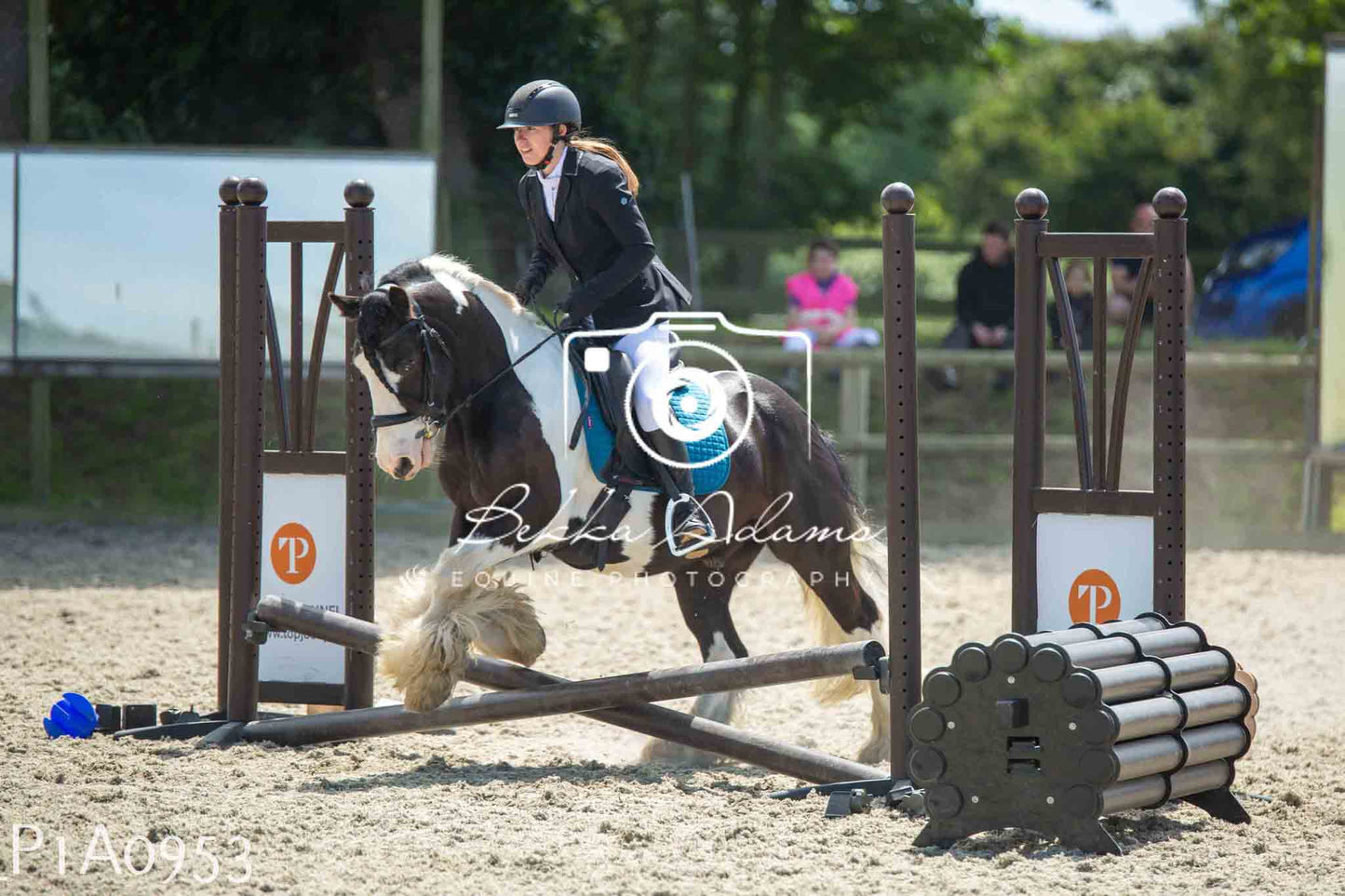 Home Farm Jumping 11th June - Seniors