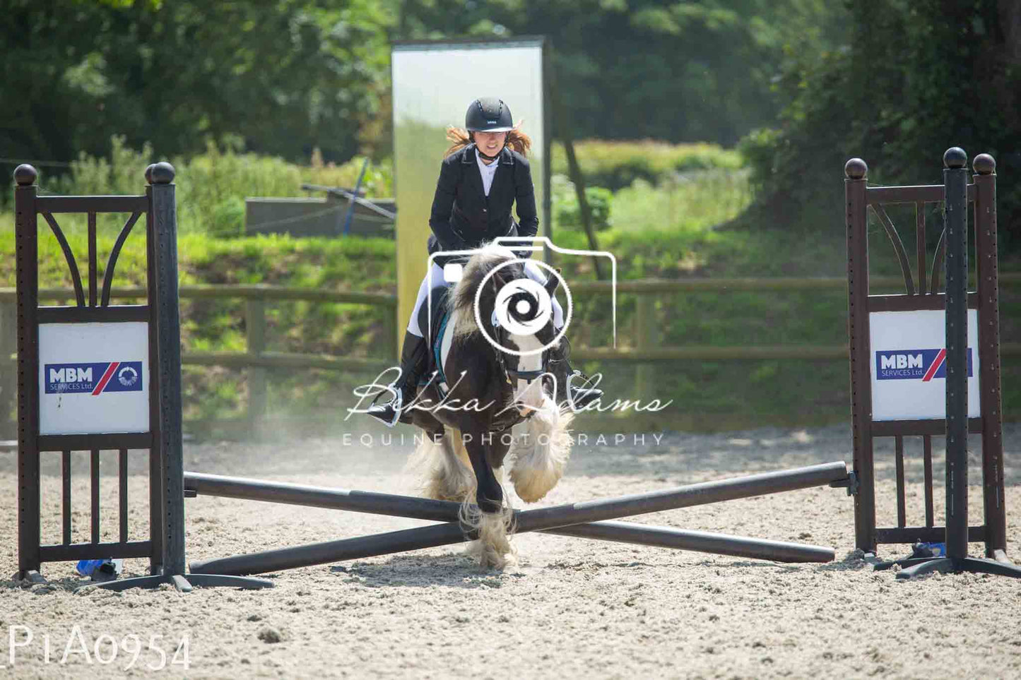 Home Farm Jumping 11th June - Seniors