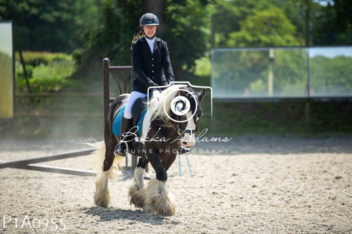 Home Farm Jumping 11th June - Seniors