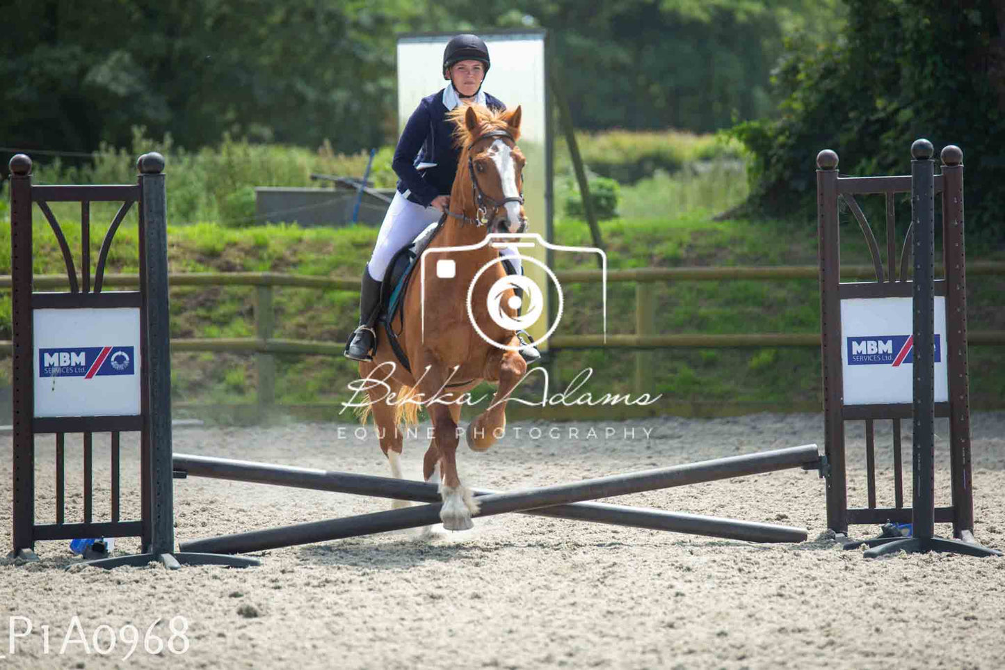 Home Farm Jumping 11th June - Seniors