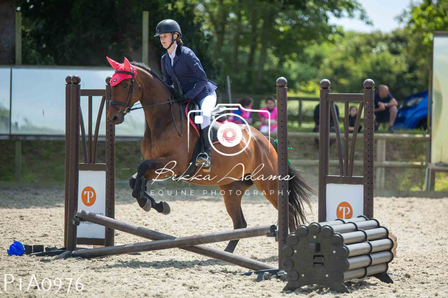 Home Farm Jumping 11th June - Seniors