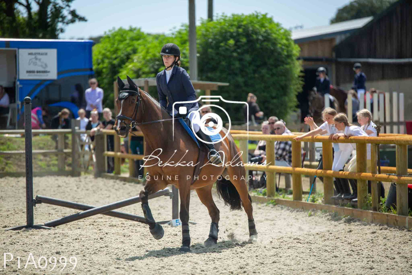 Home Farm Jumping 11th June - Seniors