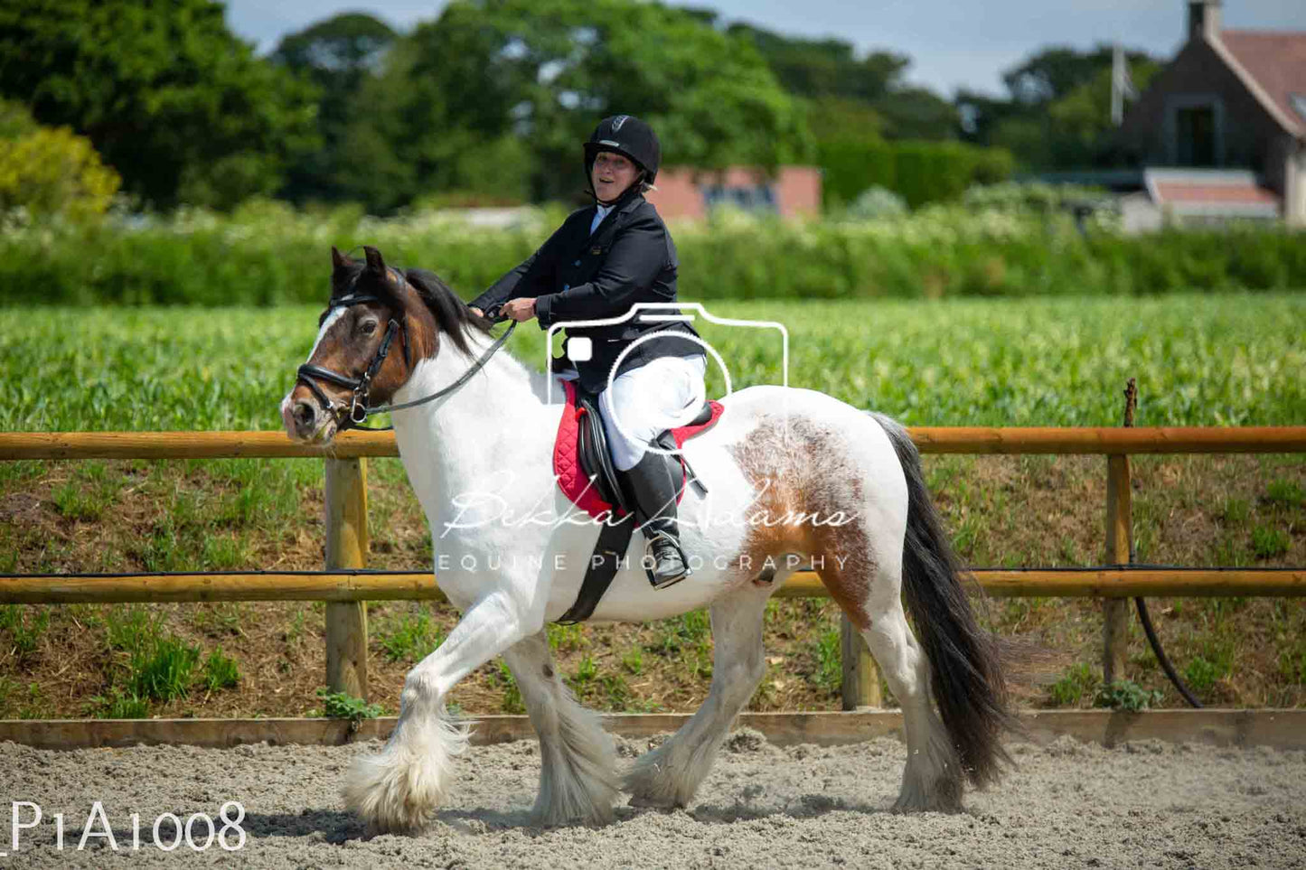 Home Farm Jumping 11th June - Seniors