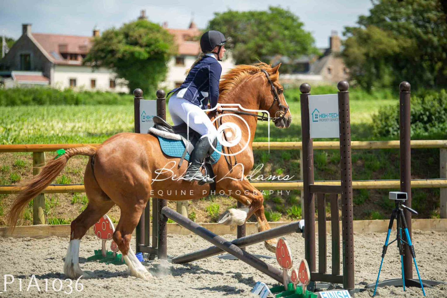 Home Farm Jumping 11th June - Seniors