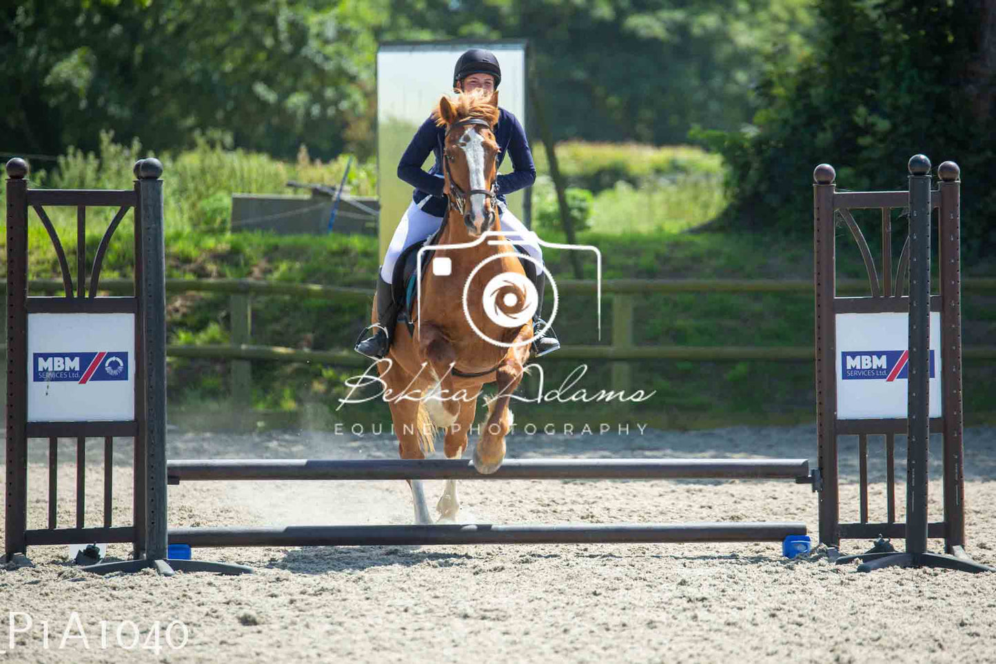 Home Farm Jumping 11th June - Seniors