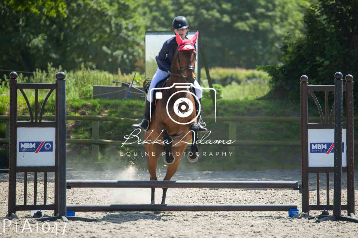 Home Farm Jumping 11th June - Seniors