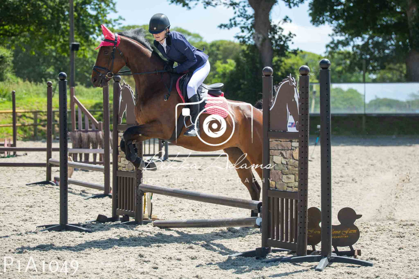 Home Farm Jumping 11th June - Seniors