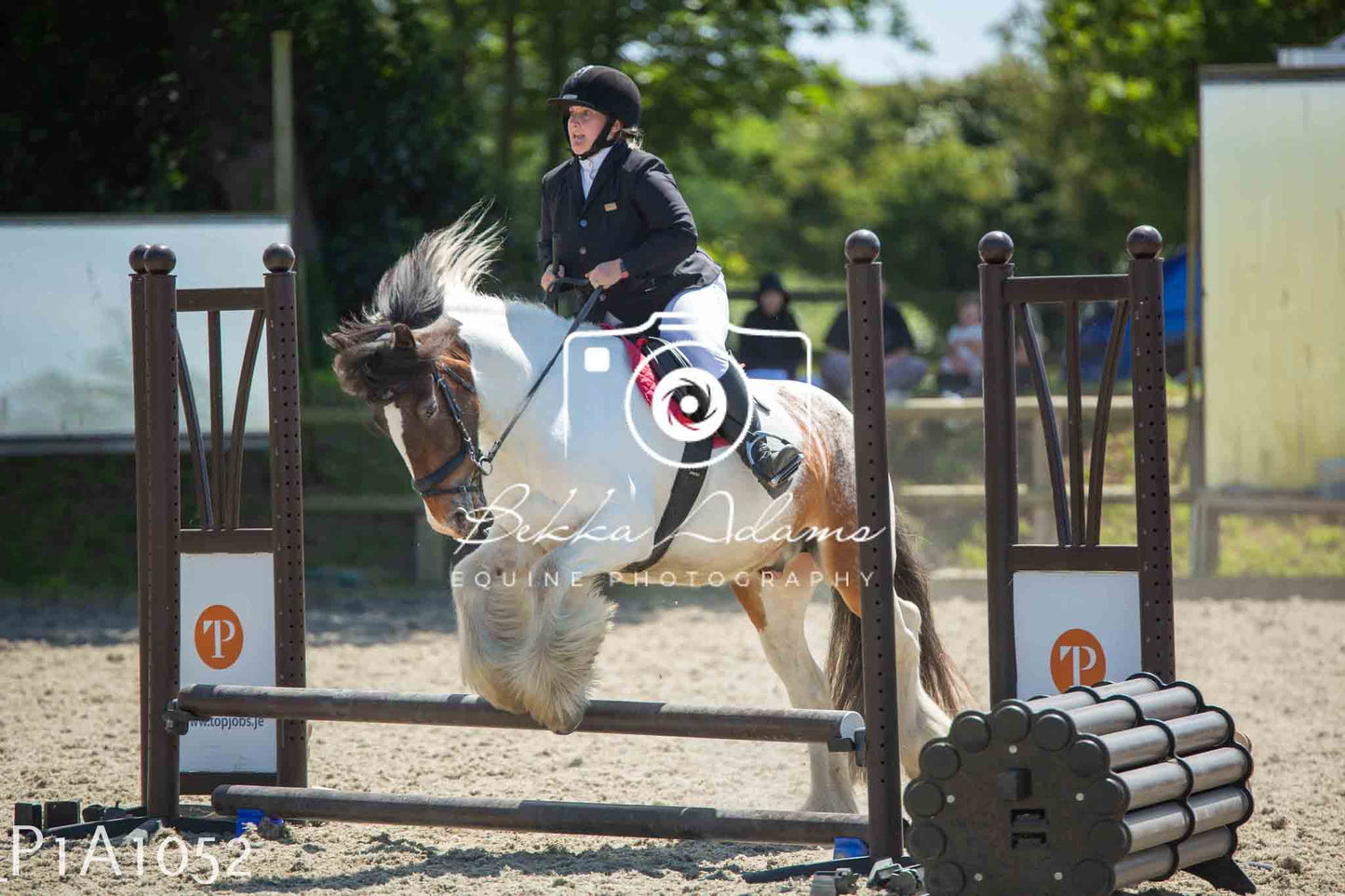 Home Farm Jumping 11th June - Seniors