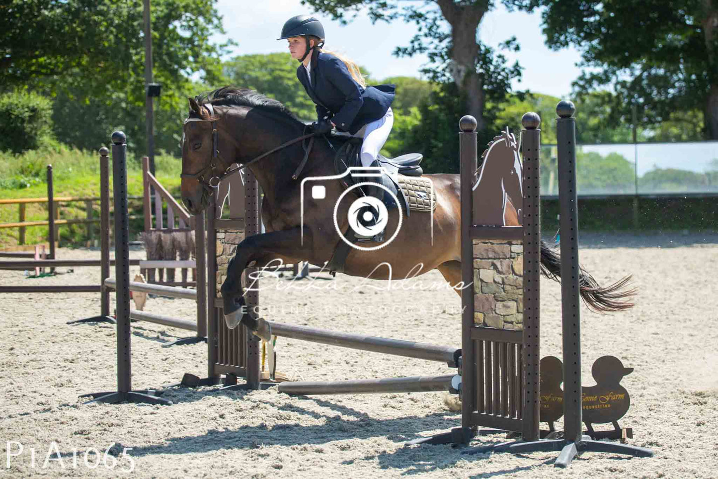 Home Farm Jumping 11th June - Seniors