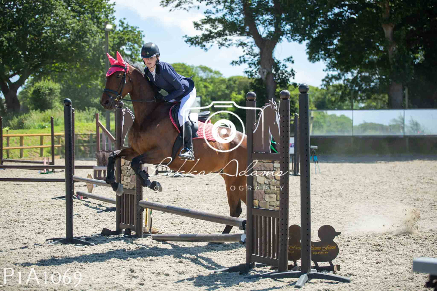 Home Farm Jumping 11th June - Seniors