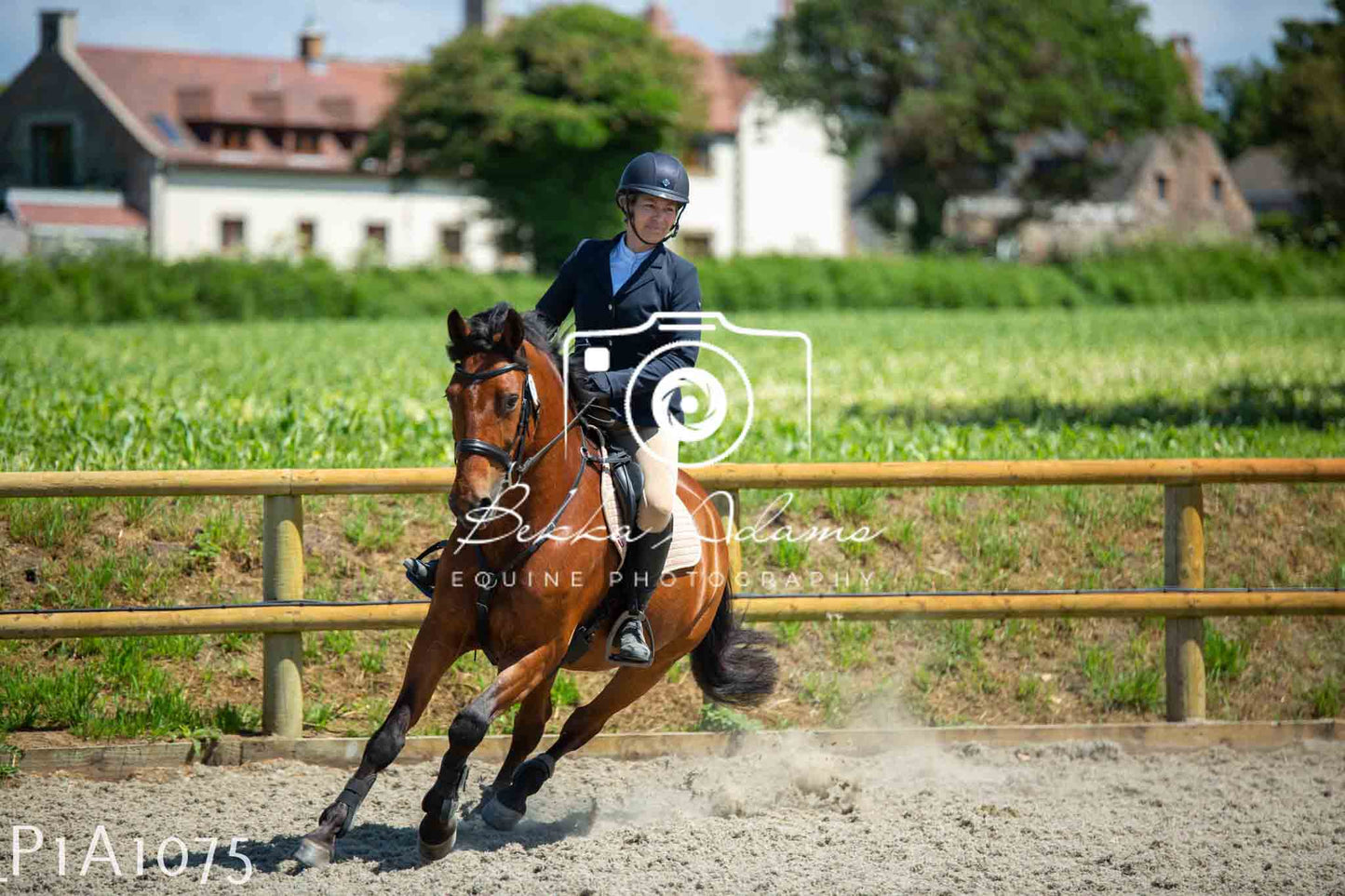 Home Farm Jumping 11th June - Seniors