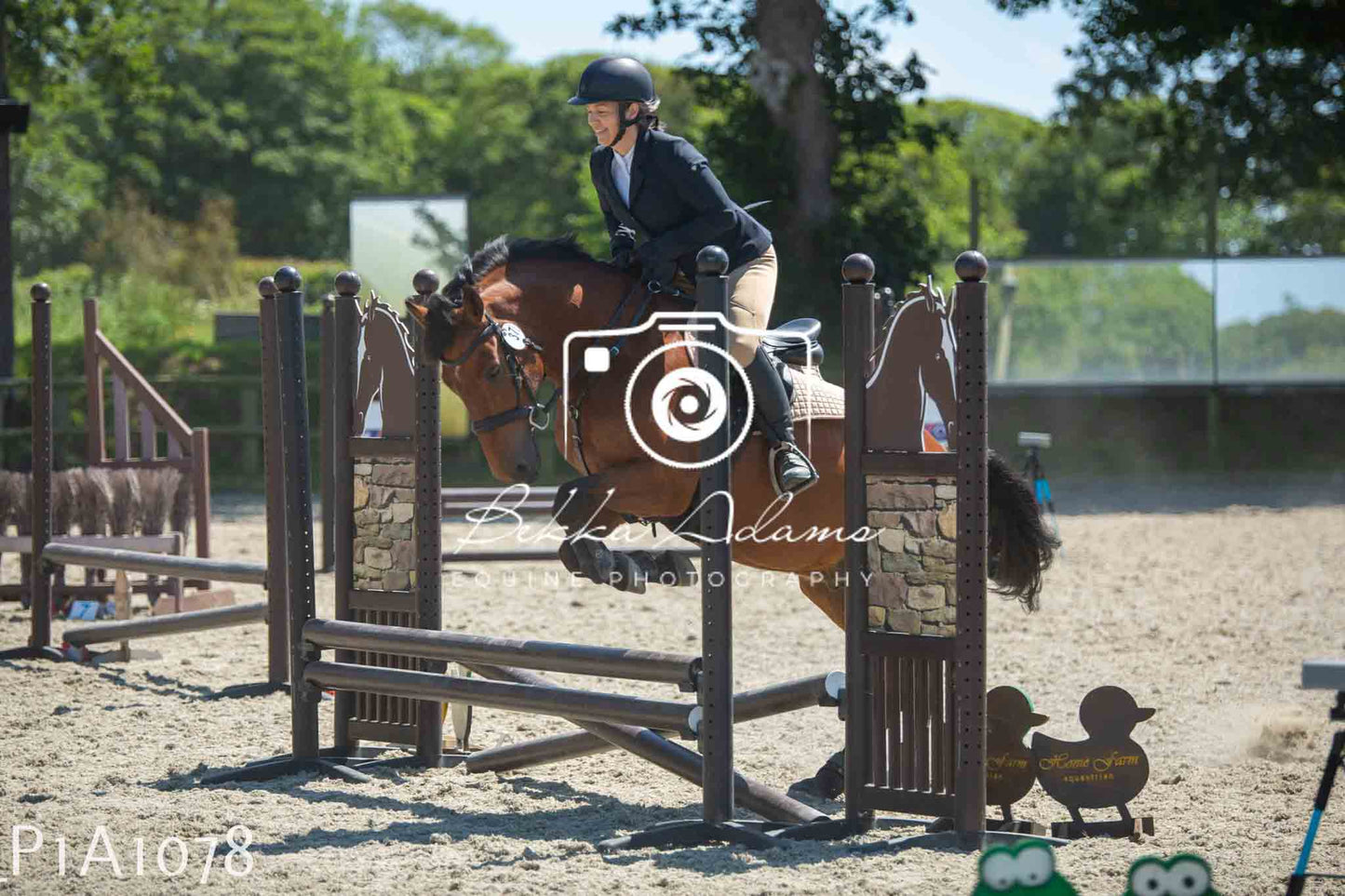 Home Farm Jumping 11th June - Seniors