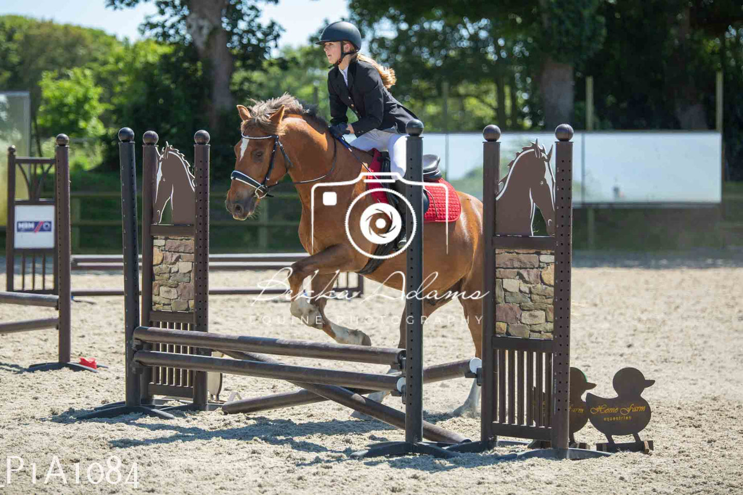 Home Farm Jumping 11th June - Seniors