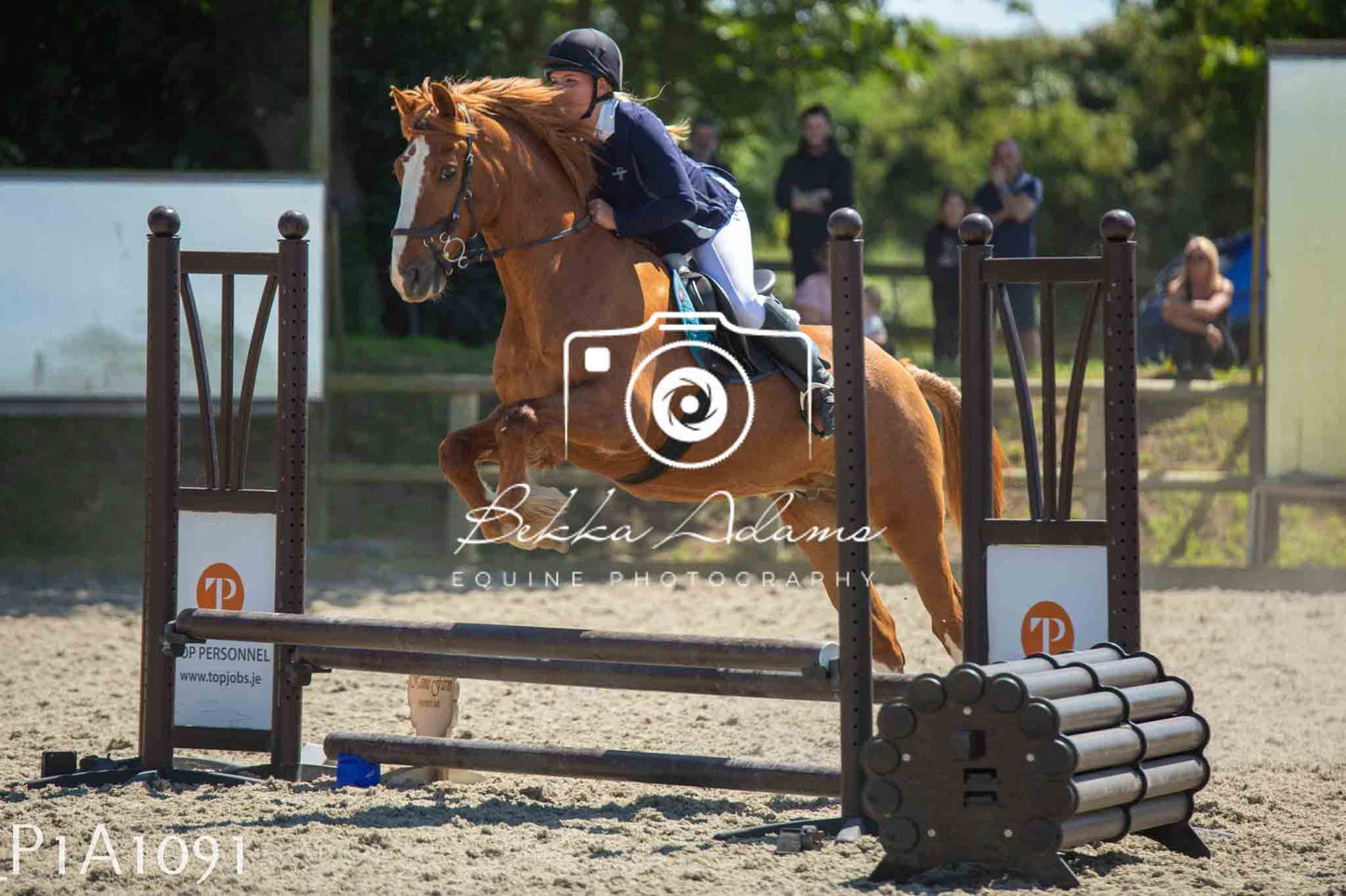 Home Farm Jumping 11th June - Seniors