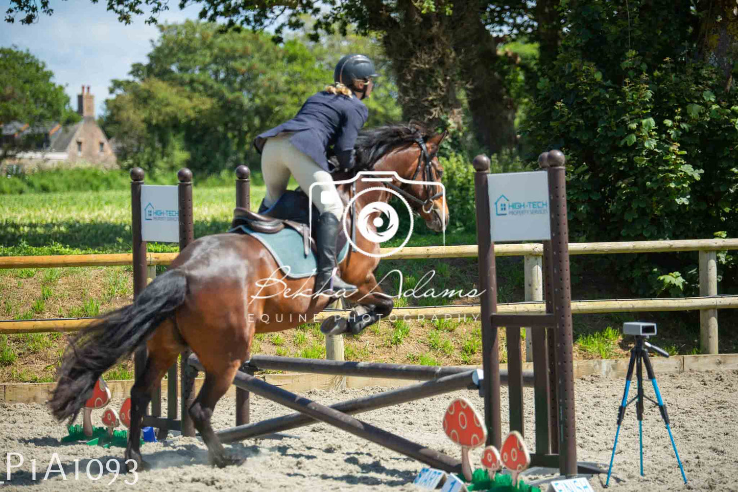 Home Farm Jumping 11th June - Seniors