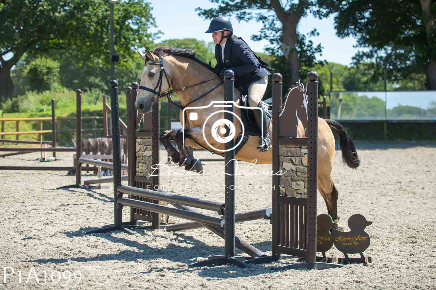 Home Farm Jumping 11th June - Seniors