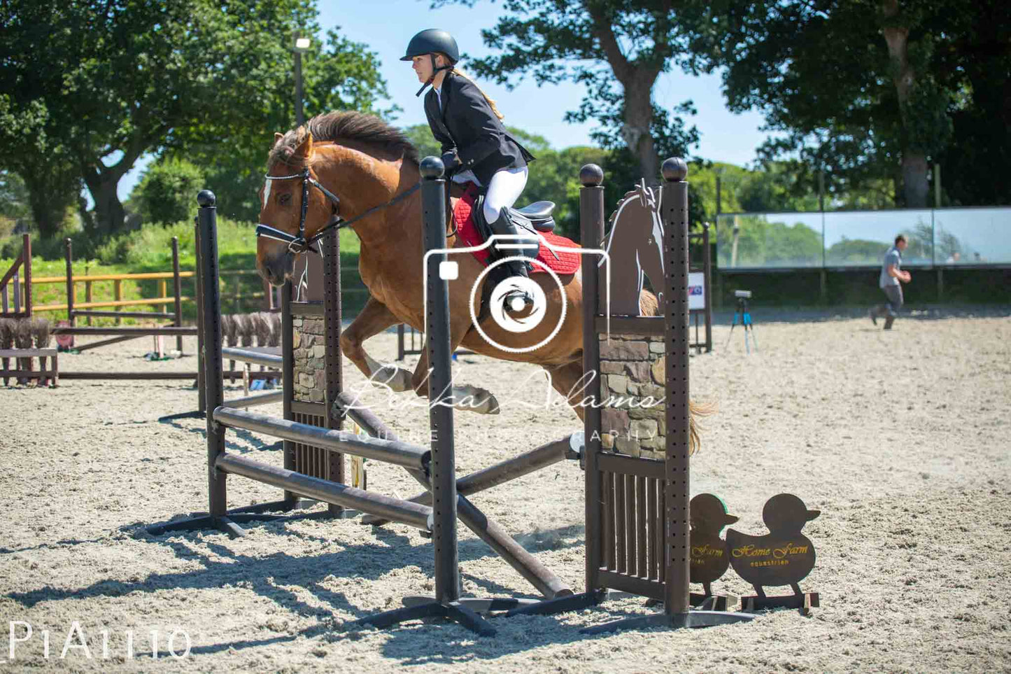 Home Farm Jumping 11th June - Seniors