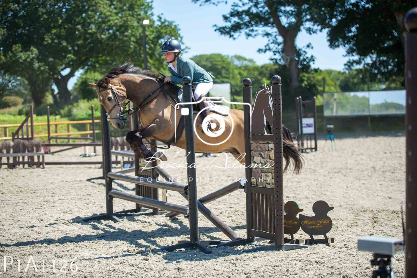 Home Farm Jumping 11th June - Seniors