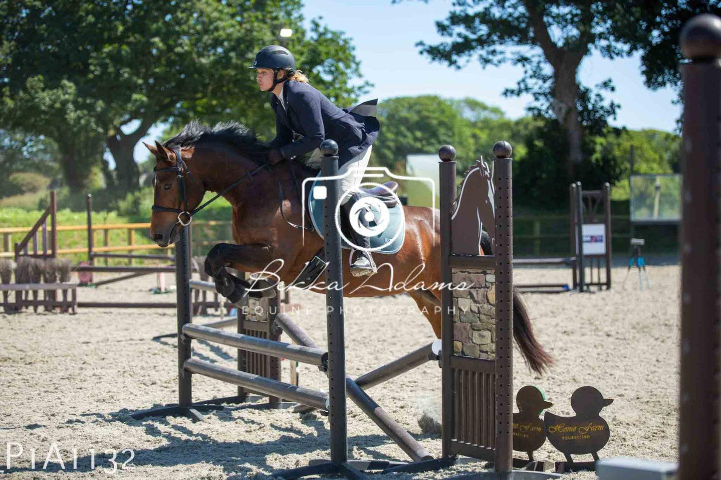 Home Farm Jumping 11th June - Seniors