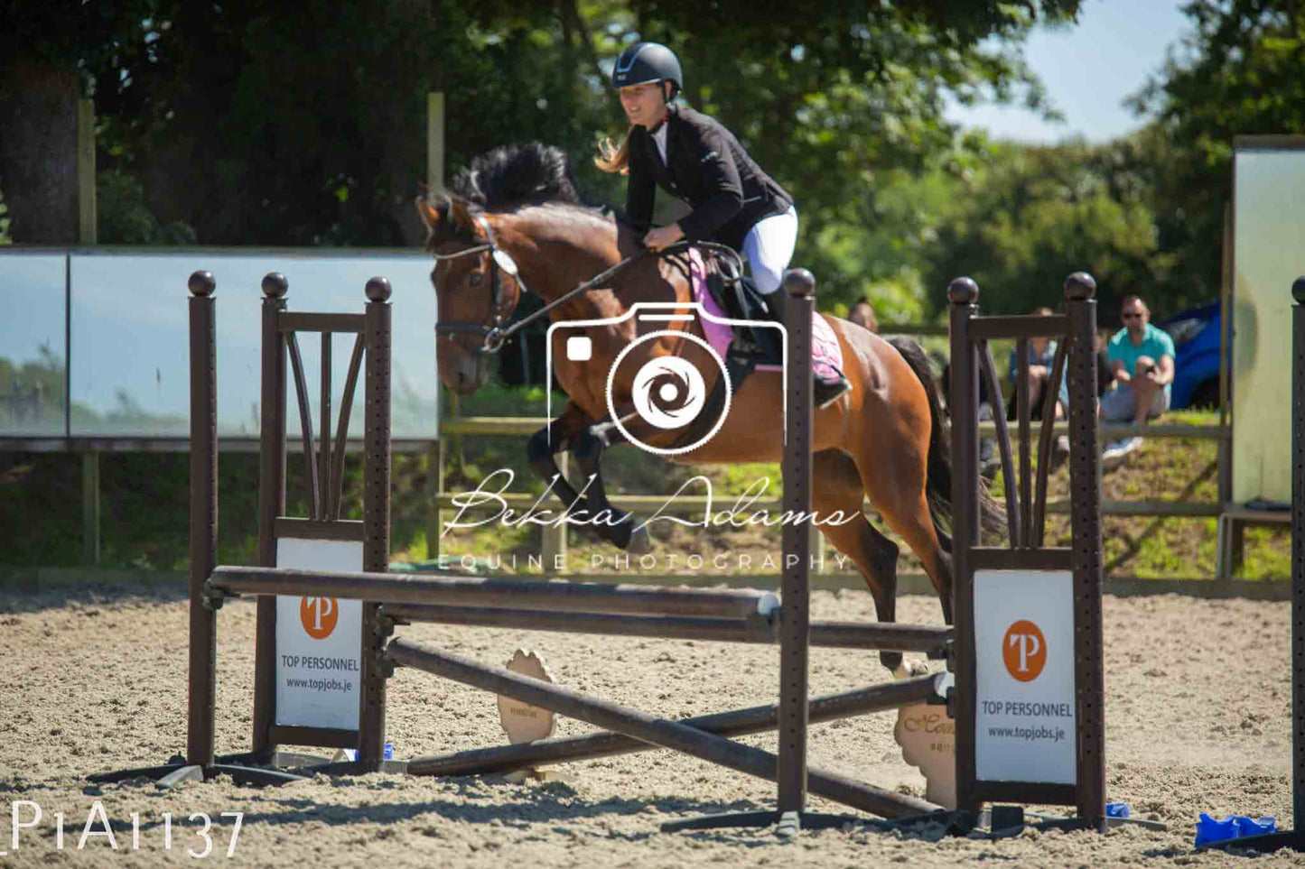 Home Farm Jumping 11th June - Seniors