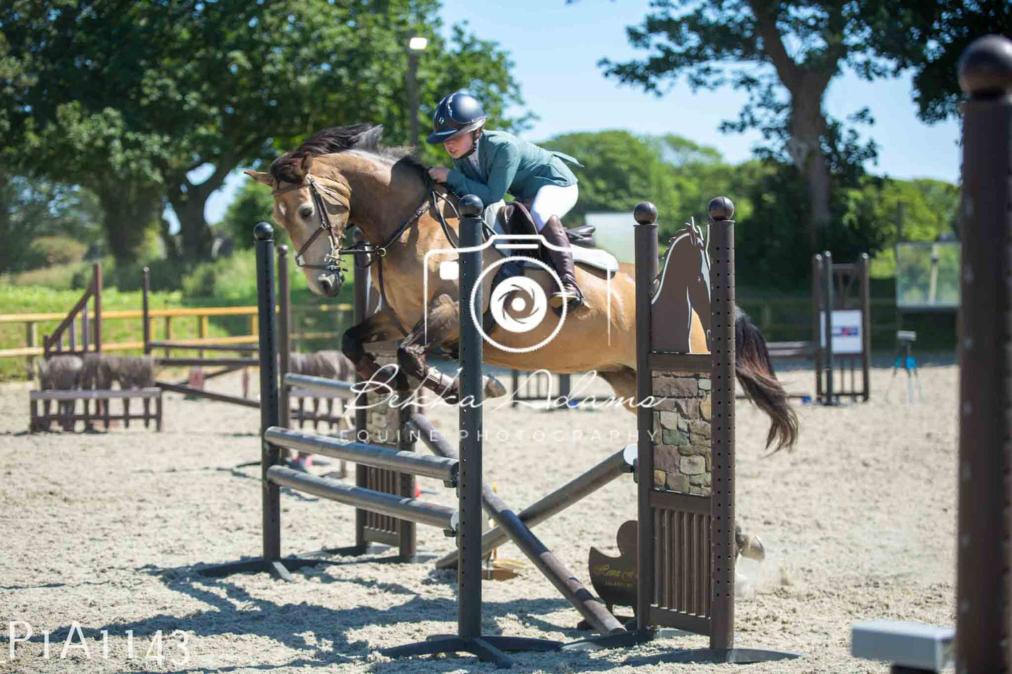 Home Farm Jumping 11th June - Seniors