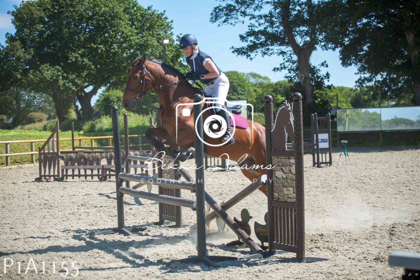 Home Farm Jumping 11th June - Seniors