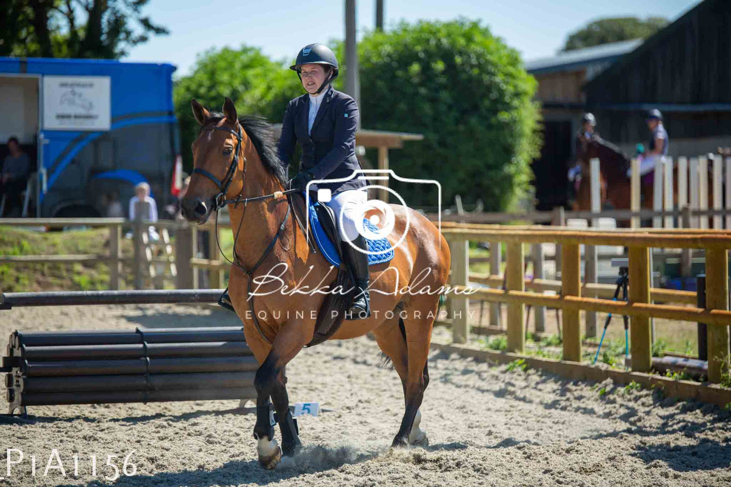 Home Farm Jumping 11th June - Seniors