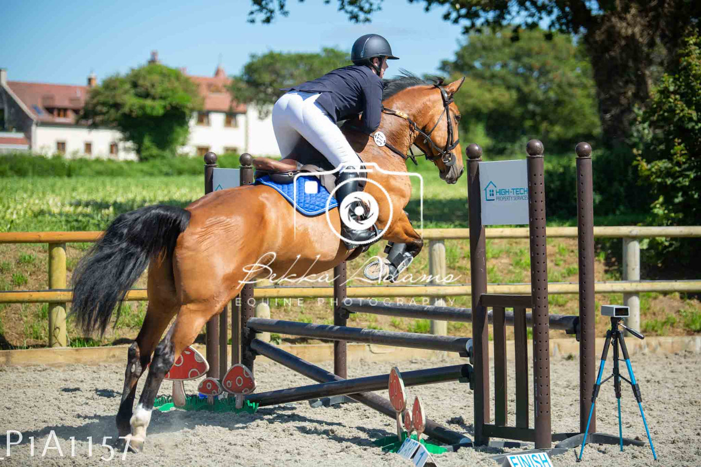 Home Farm Jumping 11th June - Seniors