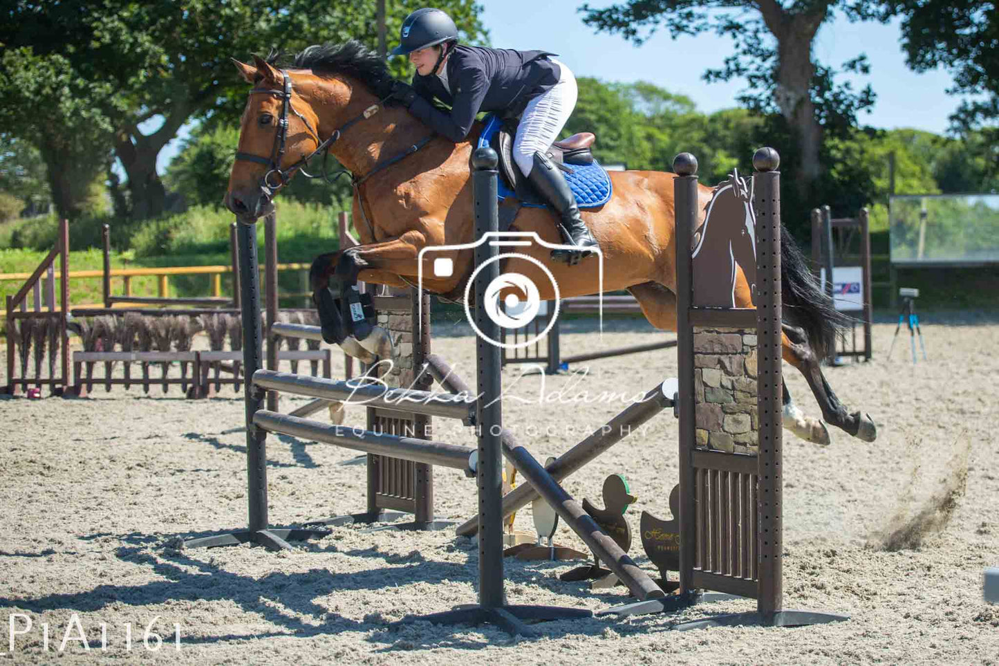 Home Farm Jumping 11th June - Seniors