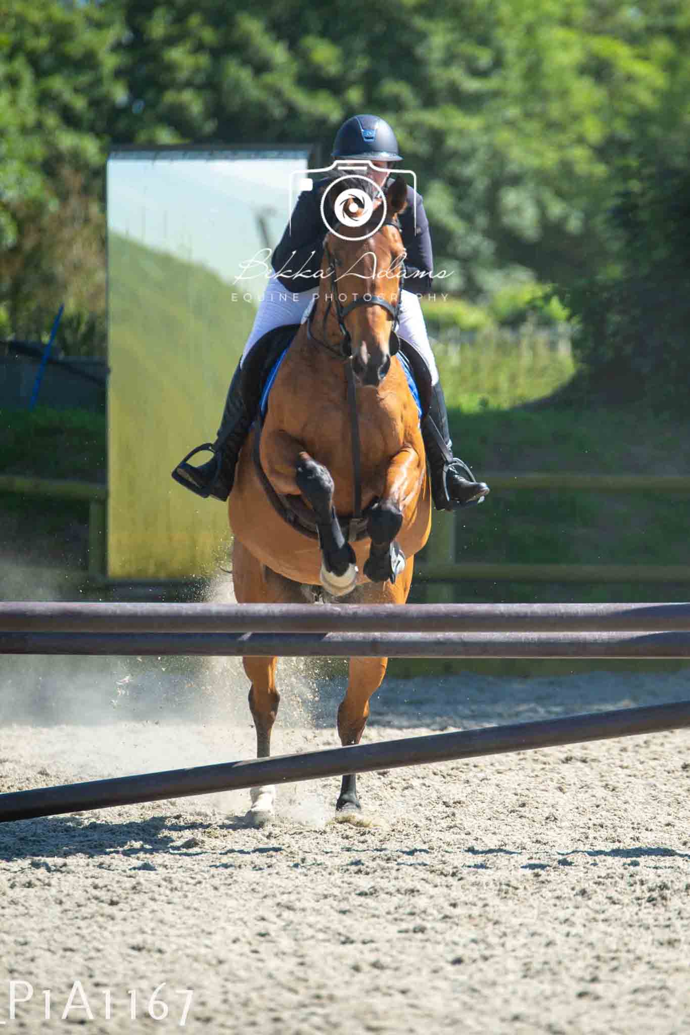 Home Farm Jumping 11th June - Seniors