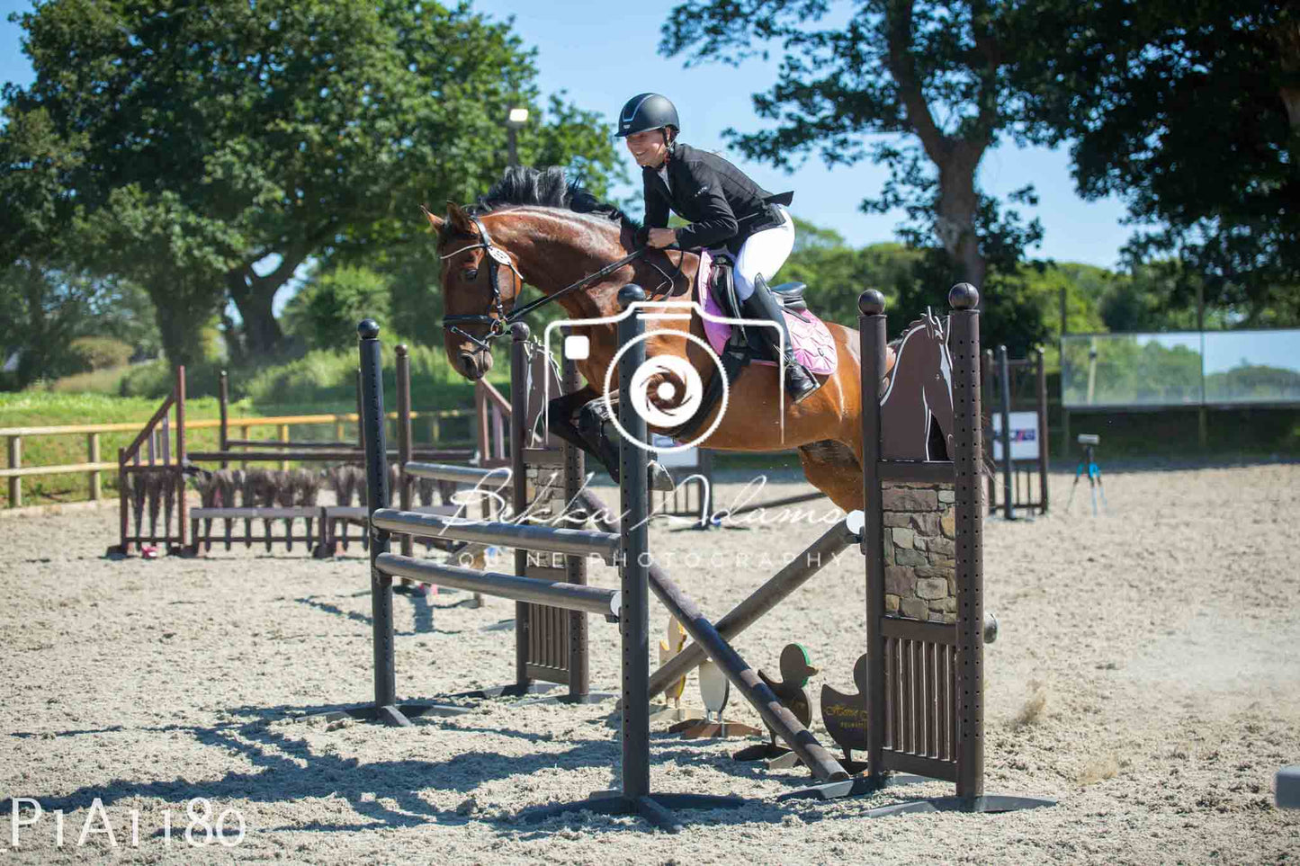 Home Farm Jumping 11th June - Seniors