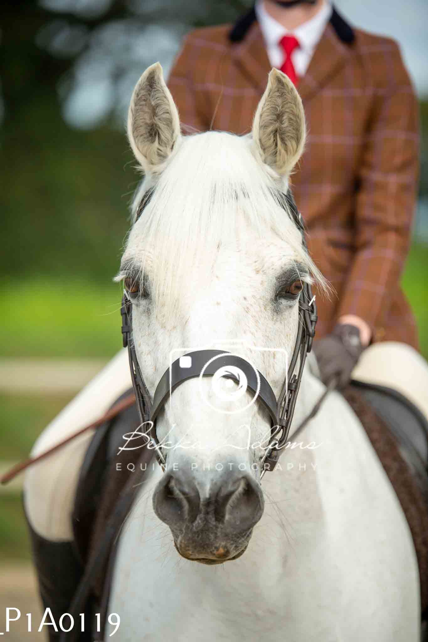 Home Farm Showing - 19th June