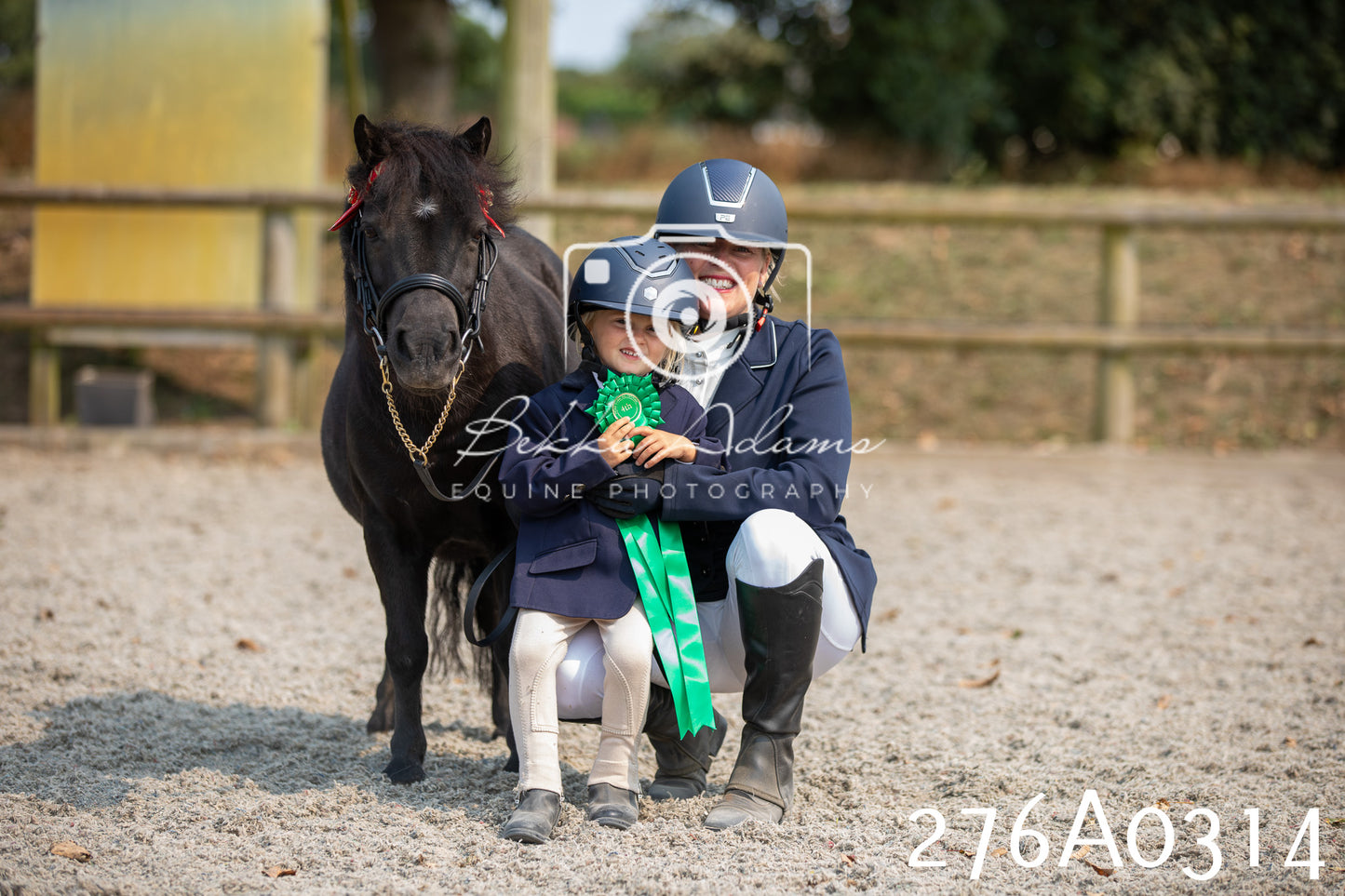 Home Farm Annual Show 2025 - Inhand Pt 3