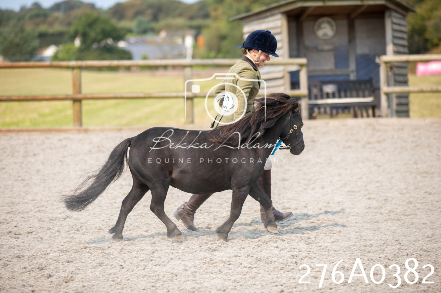 Home Farm Annual Show 2025 - Inhand Pt 3