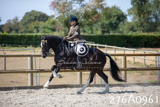 Home Farm Annual Show 2025 - Ridden Pt 1