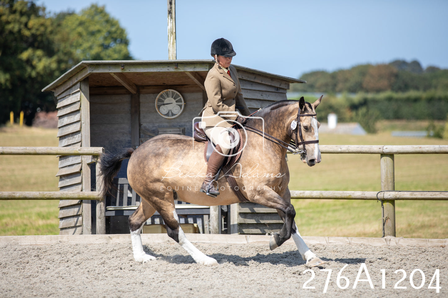 Home Farm Annual Show 2025 - Ridden Pt 1