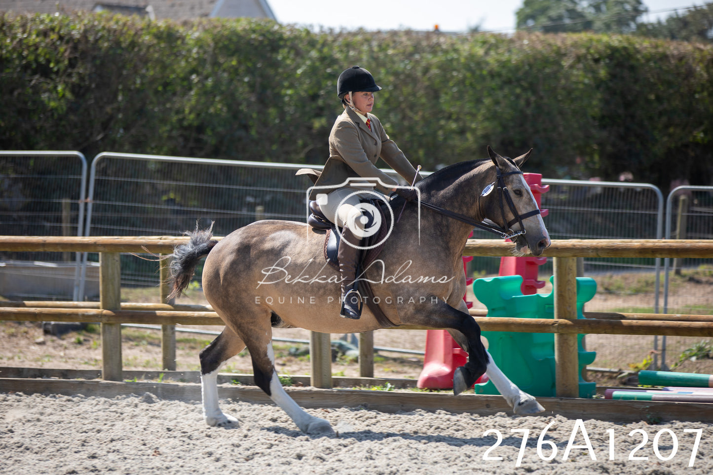 Home Farm Annual Show 2025 - Ridden Pt 1