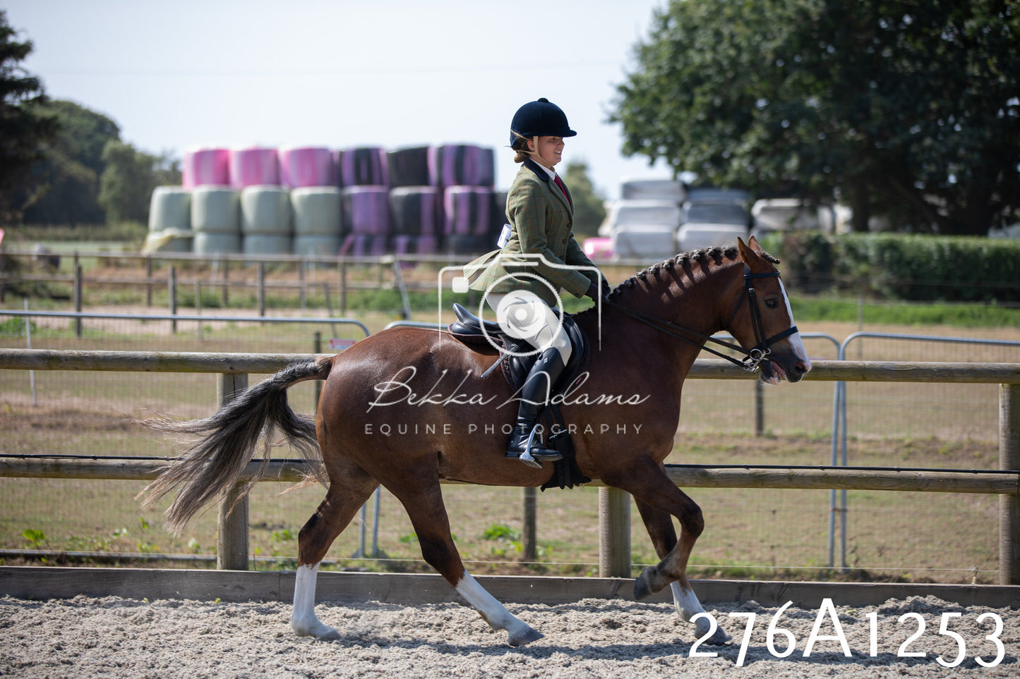 Home Farm Annual Show 2025 - Ridden Pt 1