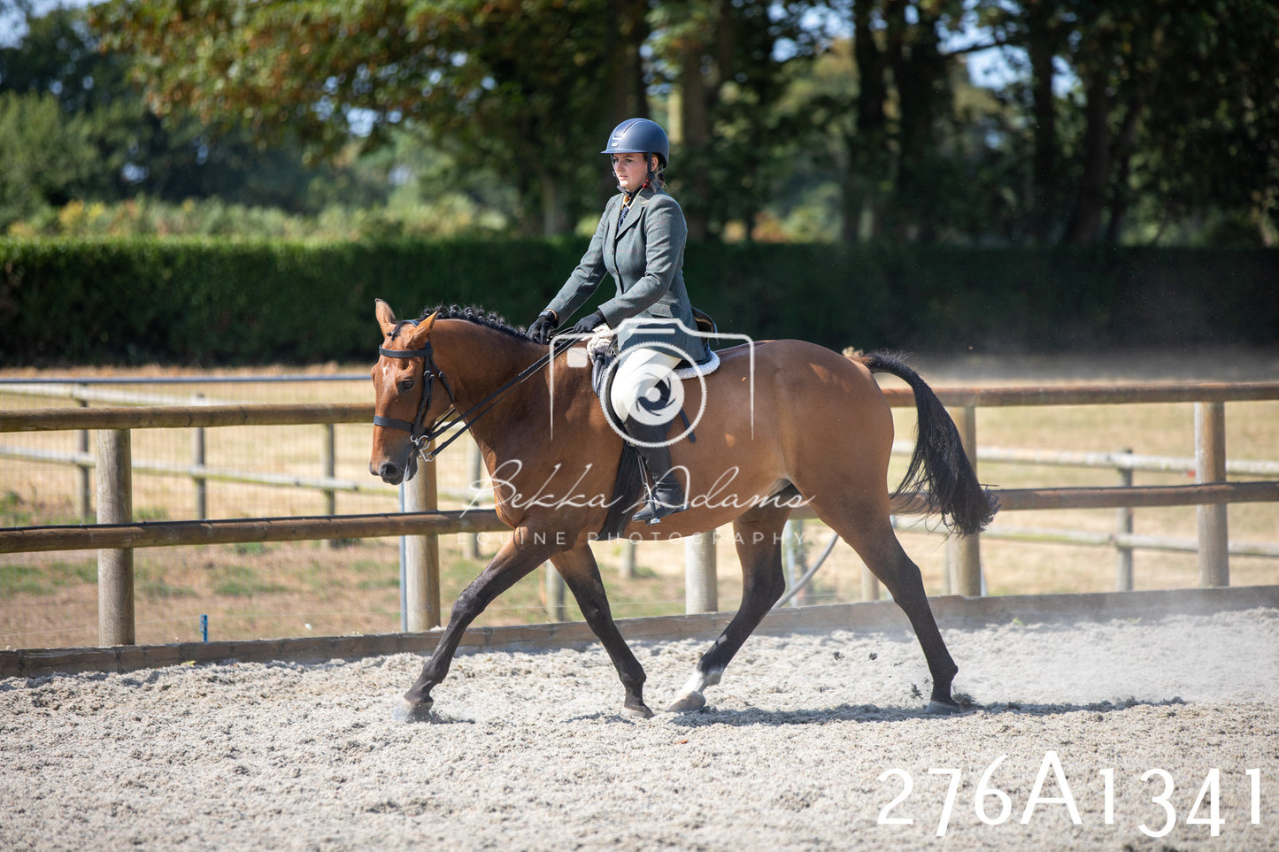 Home Farm Annual Show 2025 - Ridden Pt 1