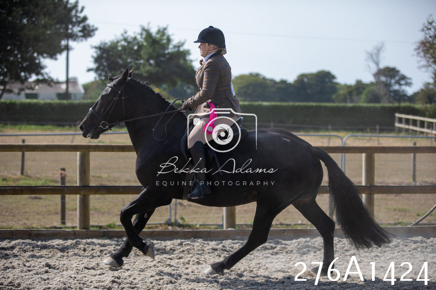 Home Farm Annual Show 2025 - Ridden Pt 1