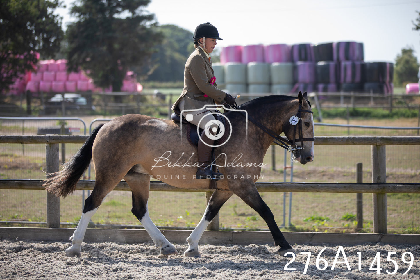 Home Farm Annual Show 2025 - Ridden Pt 1