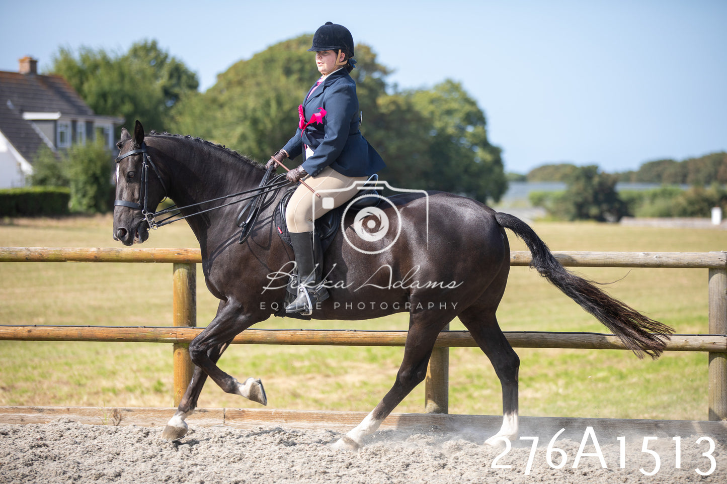 Home Farm Annual Show 2025 - Ridden Pt 1