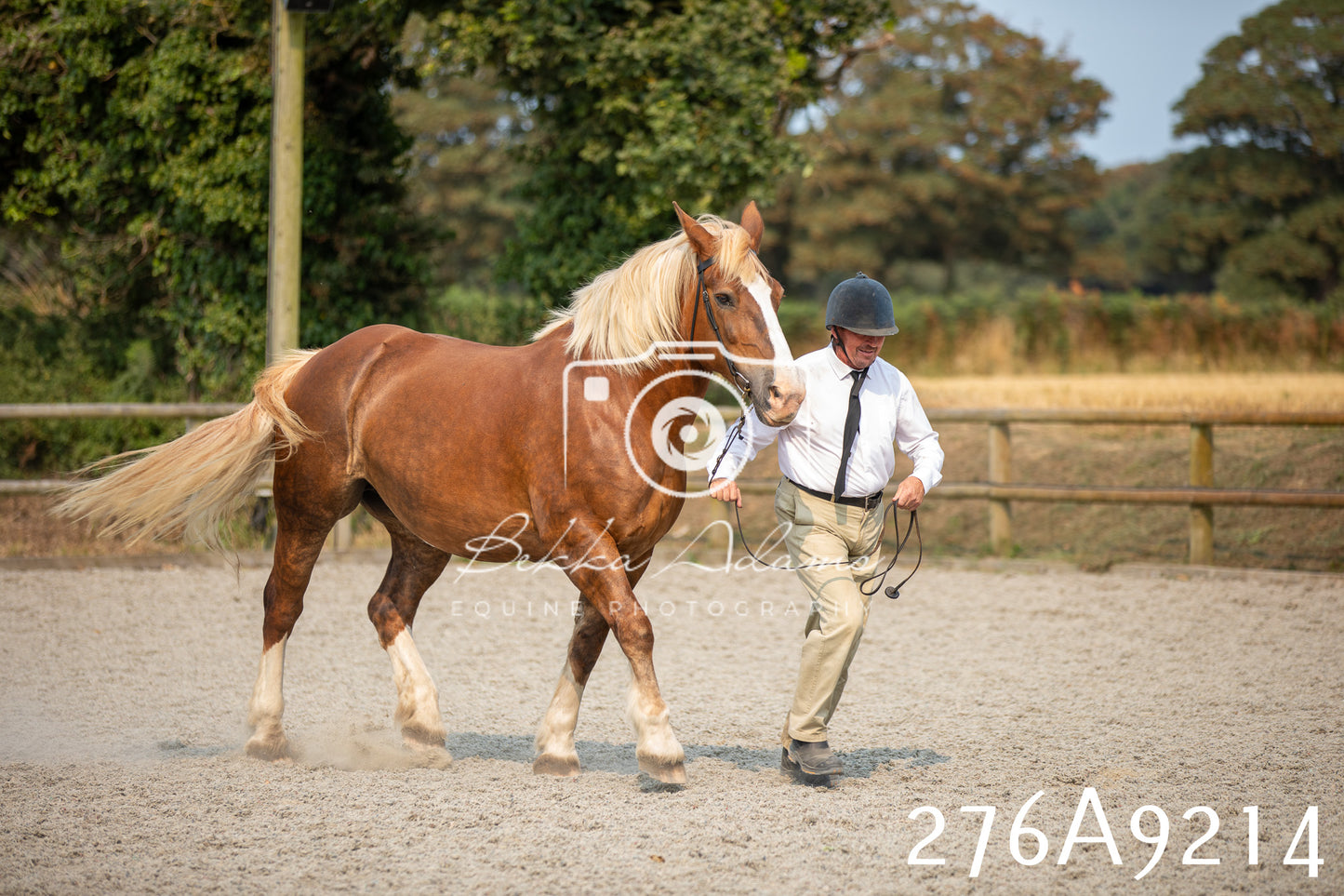 Home Farm Annual Show 2025 - Inhand Pt 1