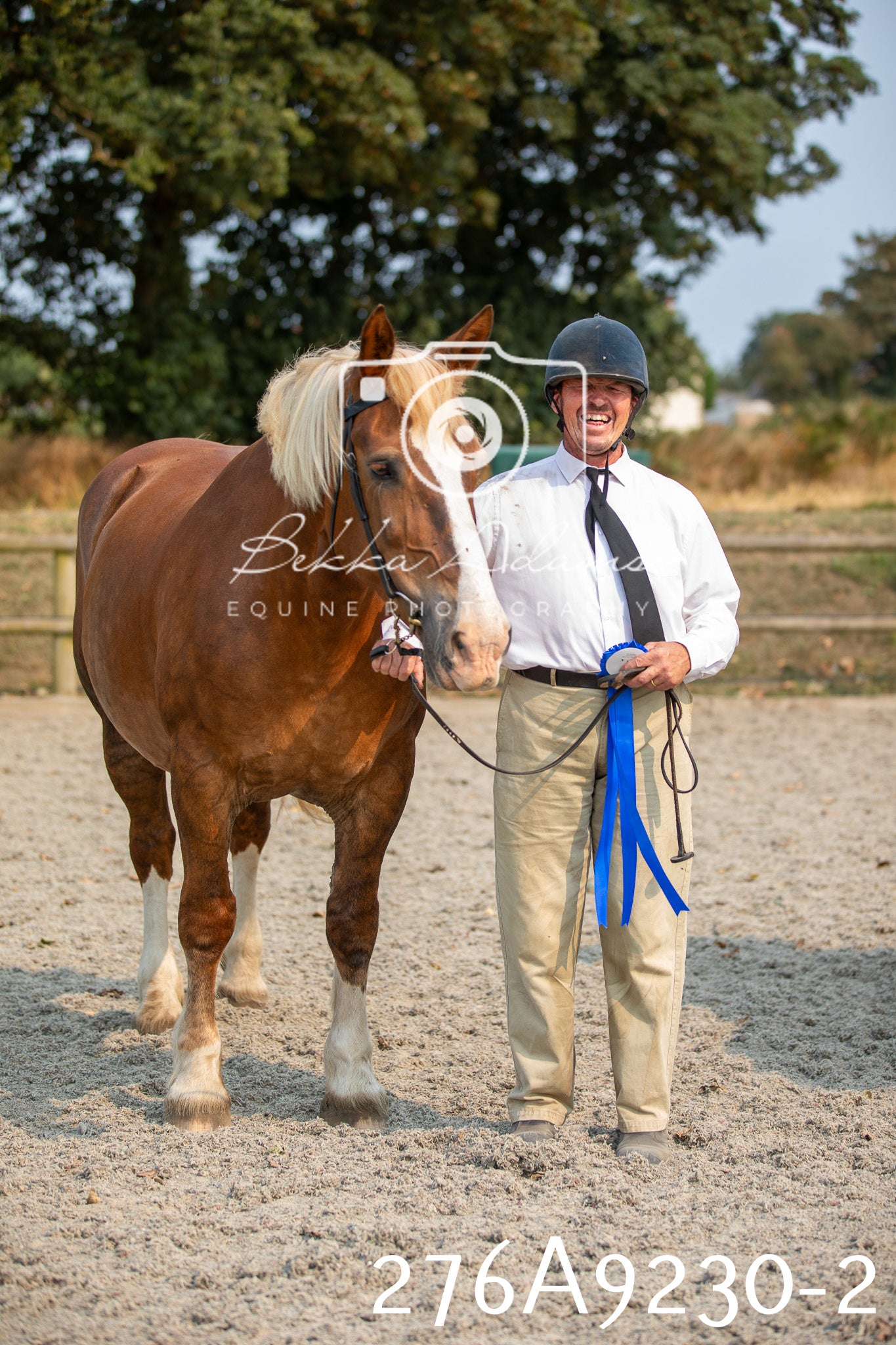 Home Farm Annual Show 2025 - Inhand Pt 1