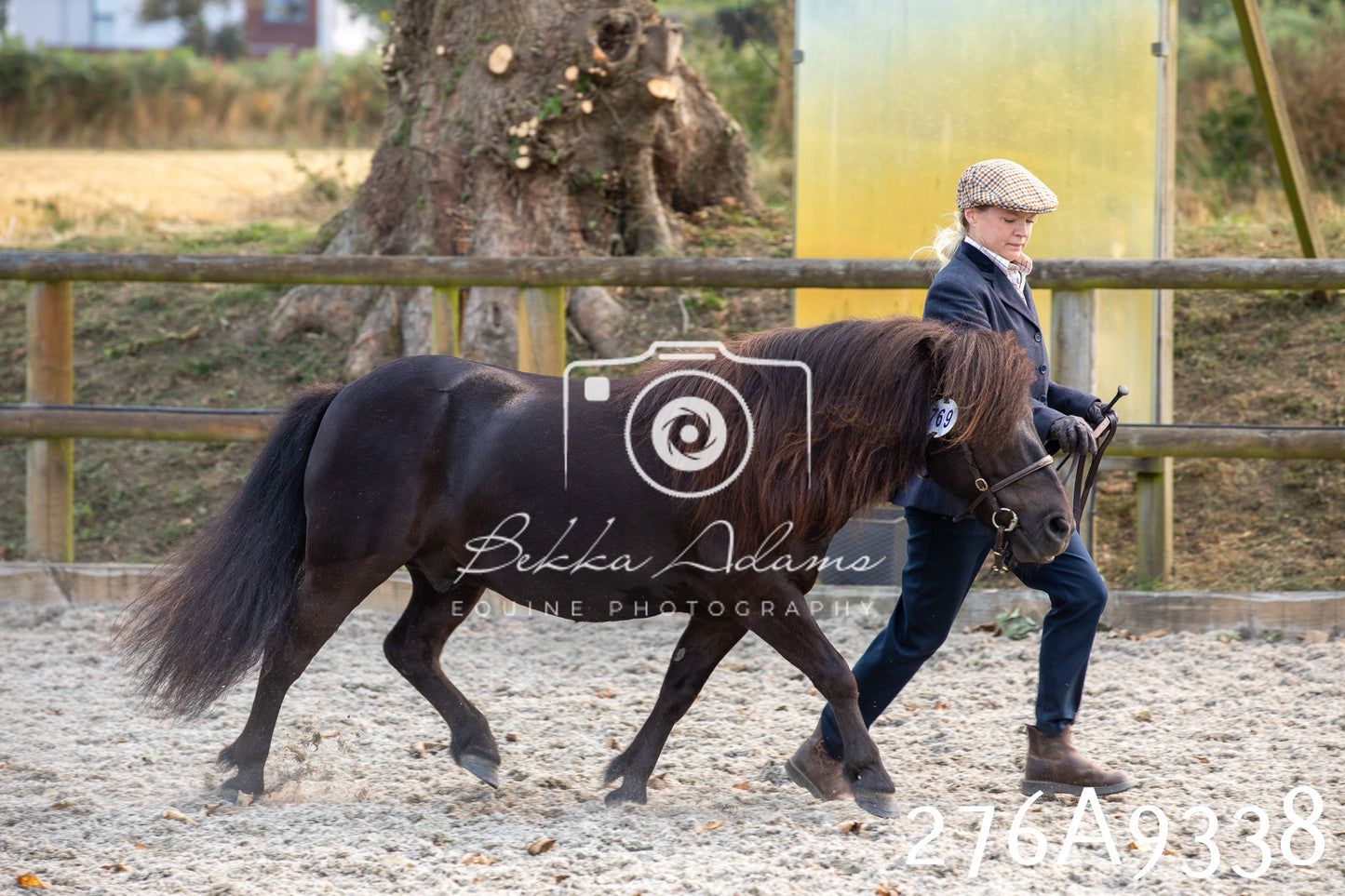 Home Farm Annual Show 2025 - Inhand Pt 1